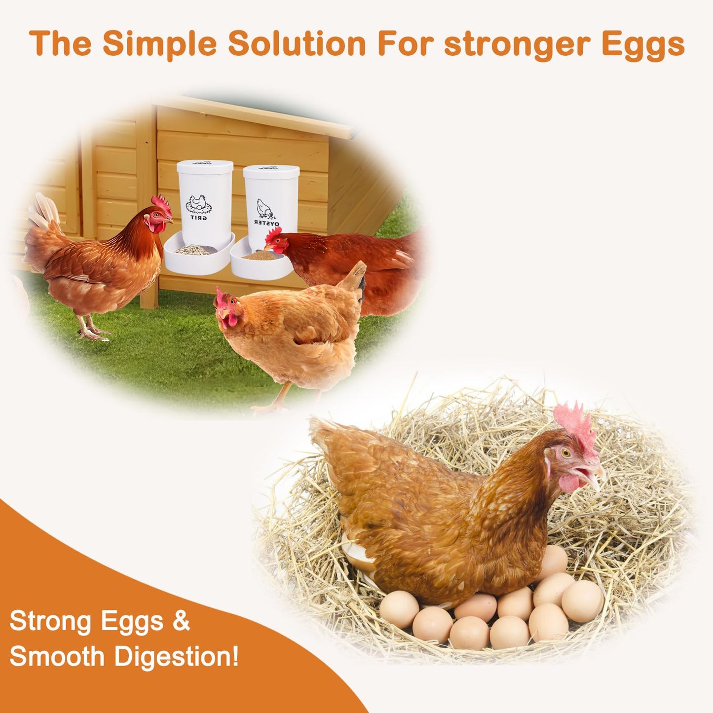 Chicken Oyster Shell Feeder and Grit Feeder Crushed Eggshells Chicken Feeder Chicken coop Accessories Automatic Chicken Feeder