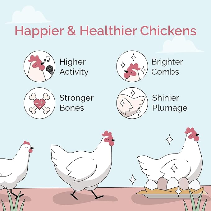Layer Organic Chicken Feed | 16% Protein | Mash | Certified Organic, Non-GMO, Corn-Free, Soy-Free, Non-Medicated, US Grown Chicken Feed | 23 lbs