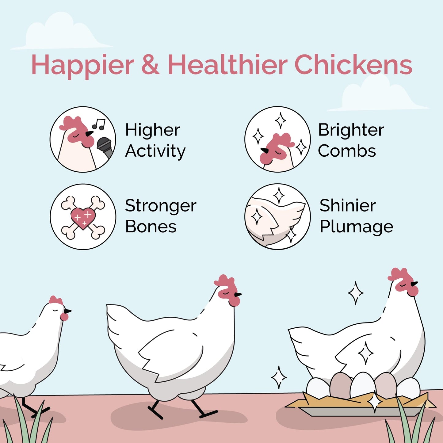 Mile Four Organic Chicken Feed – Layer Mash, Non-GMO, USA Grown, 16% Protein, Corn-Free, Soy-Free, Non-Medicated Feed for Chickens, 2 lbs Sample