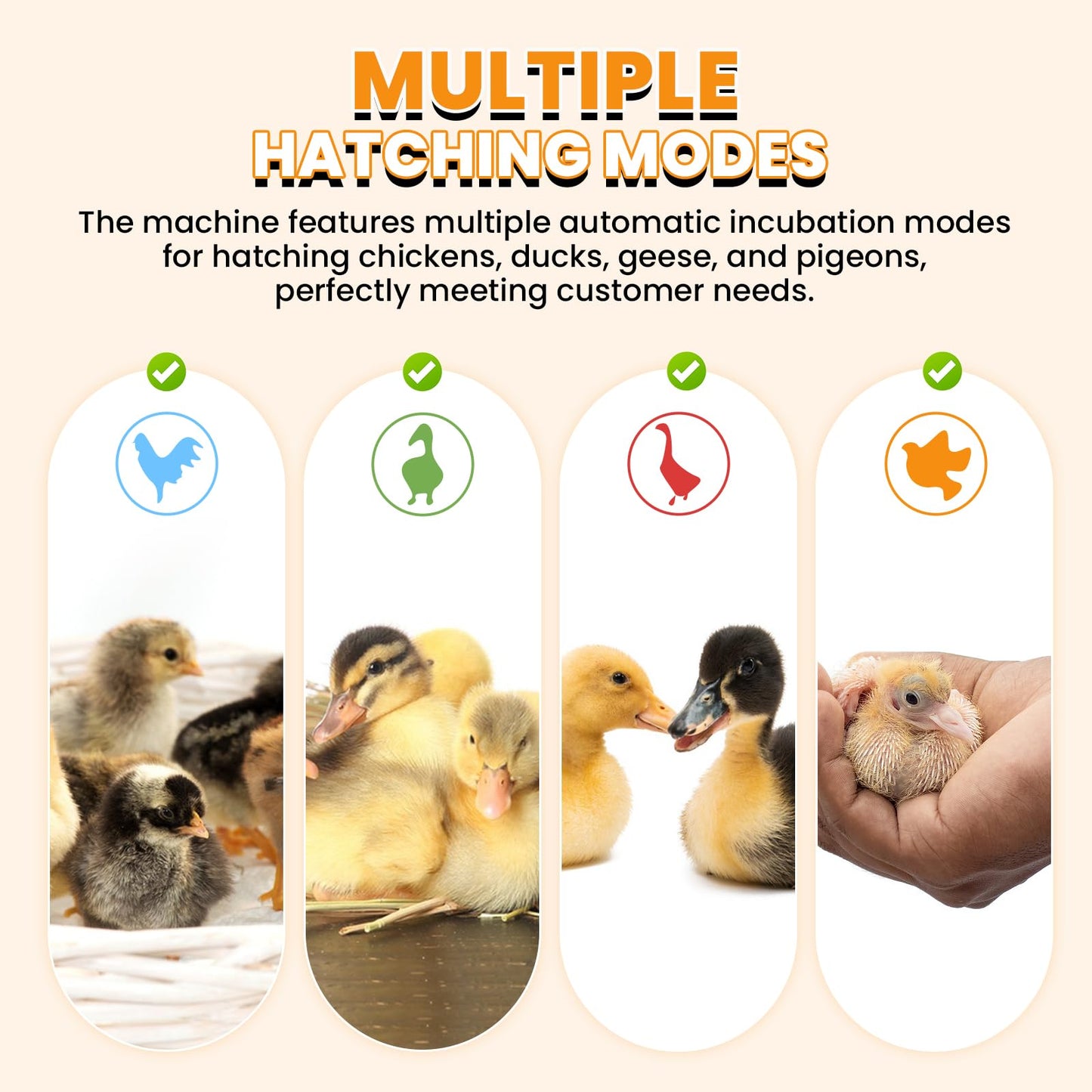 Proshine Incubators for Hatching Eggs, 24 Egg Incubator, Automatic Turning with Temperature & Humidity Control, Temp Display, for Chicken Duck Quail Goose Pigeon