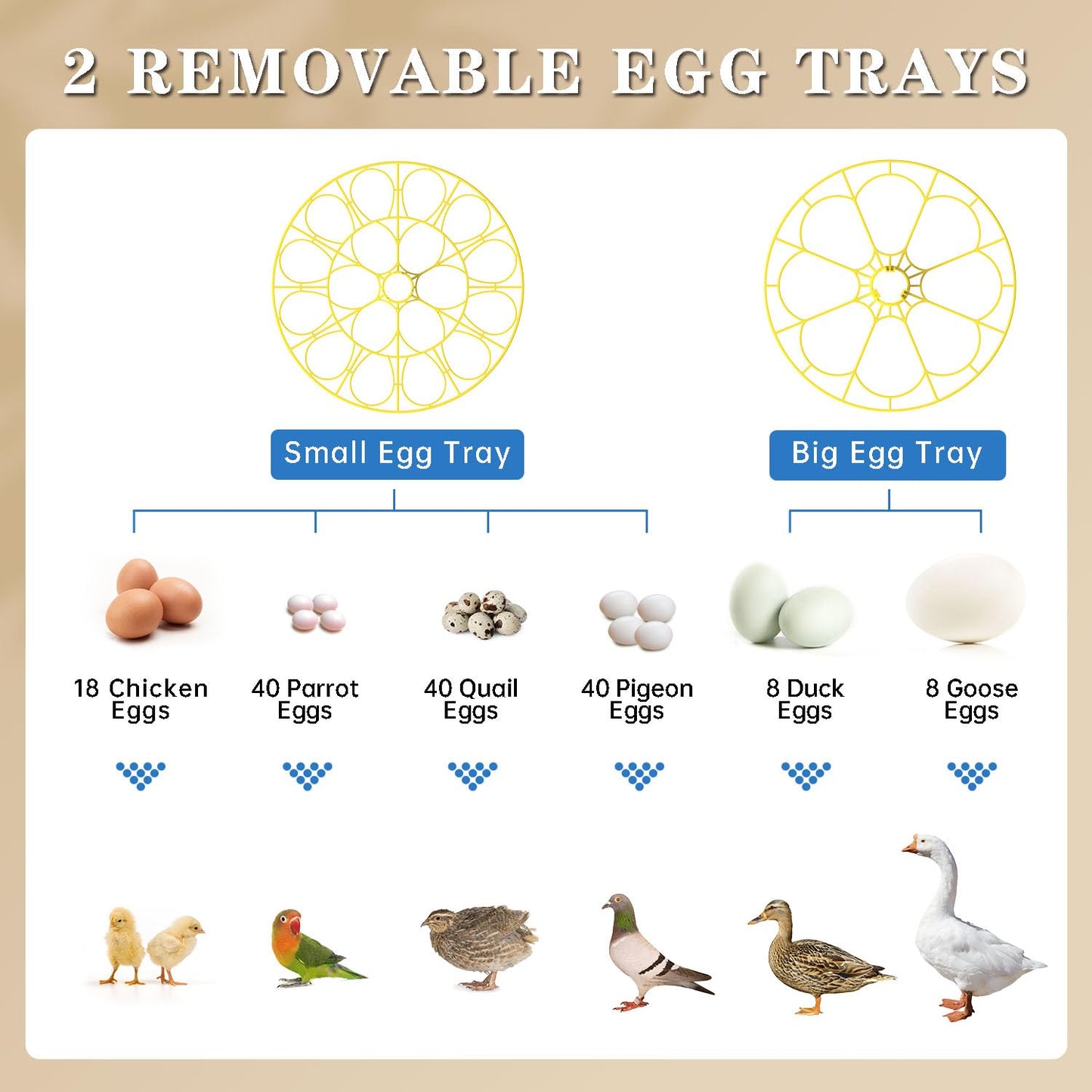 Forotone Incubators for Hatching Eggs, 18-Egg Incubator with Automatic Egg Turning and Humidity Control, Egg Candler, External Water Filling, Incubator for Chicken Eggs, Ducks, Goose, Quail