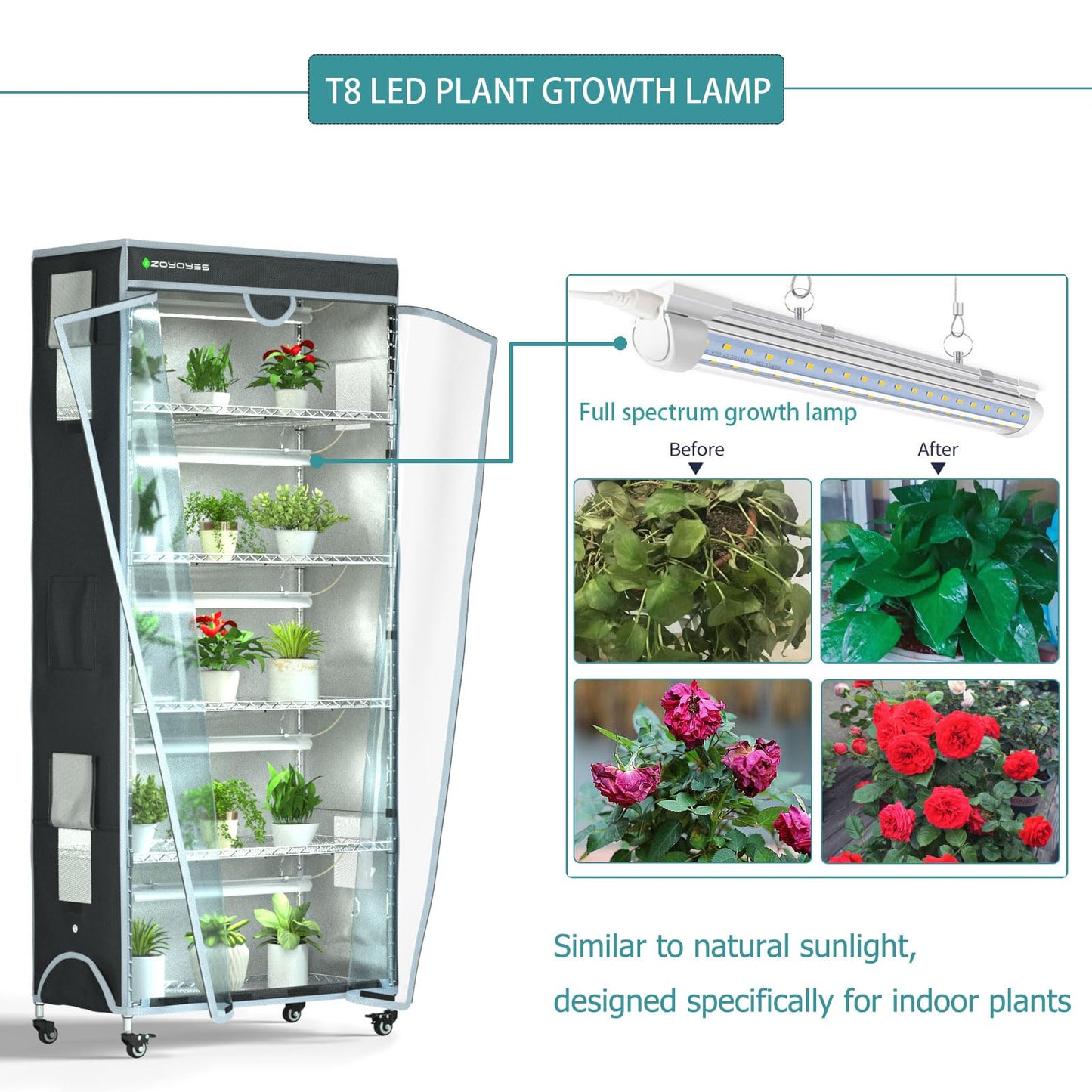 ZOYOYES Plant Greenhouse 6-Tiered Heavy Duty Metal Growth Shelf with 5 Sets T8 Grow Light Rack Cover Thermometer Timer for Seedling Cultivation Reproduction Flowering,30" LX14 WX72 H