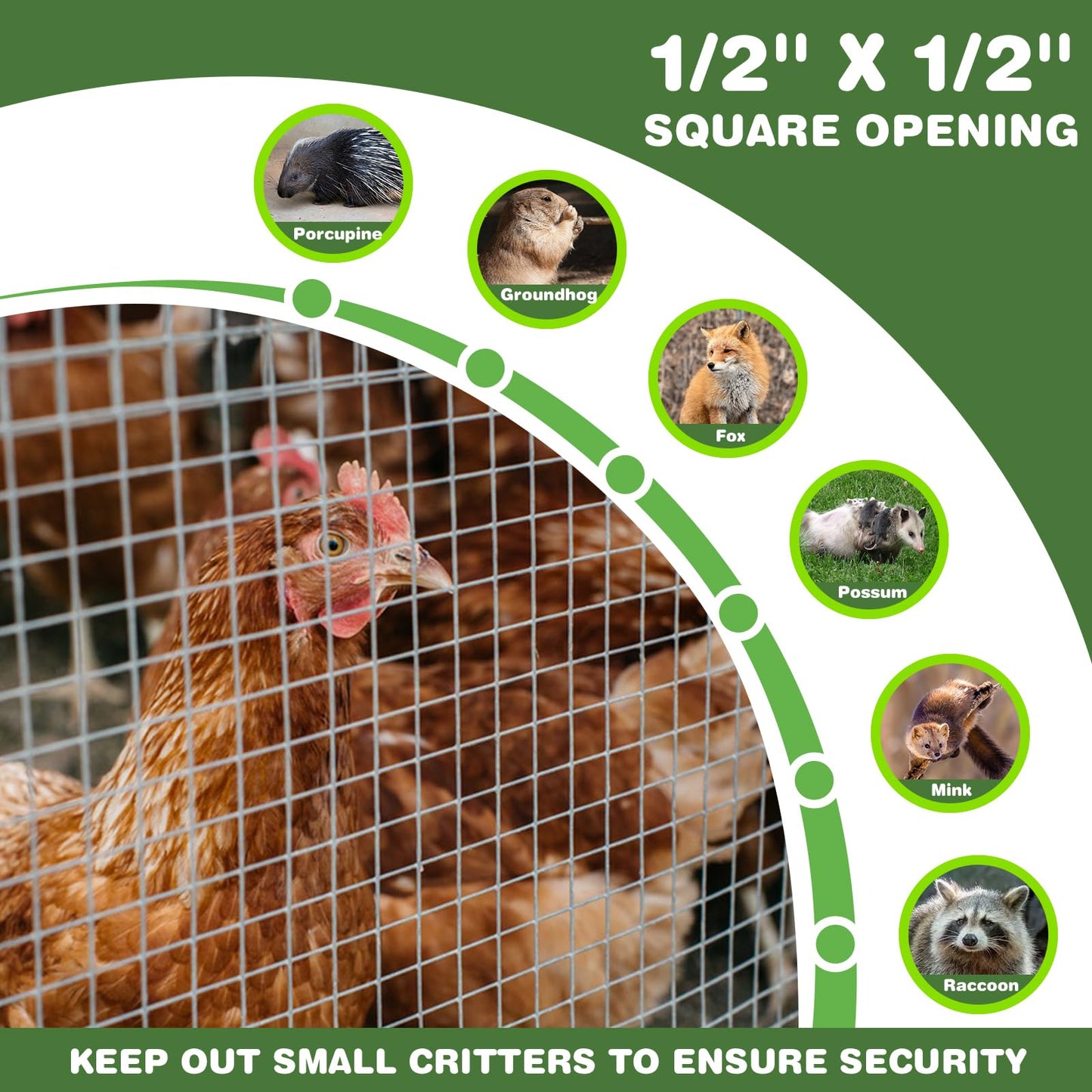 Hardware Cloth 1/2in 4'' x 10' 19GA ，Hot-dip Galvanized After Welding ，Chicken Wire Mesh,Chicken Coop Fence,Screen Mesh,Rabbit/Snake Fence,for Garden Poultry Animal Netting Cage