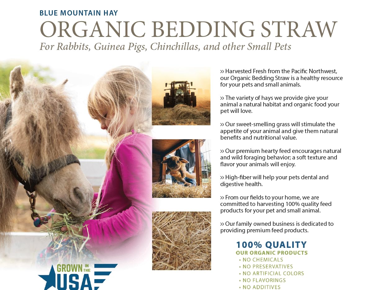 Blue Mountain Hay | Organic Bedding Straw (5 lb) | Natural Pet Bedding & Insulation for Rabbits, Guinea Pigs, Goats, Chickens, Stray & Feral Cats, and Small Animal Shelters