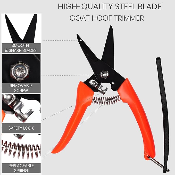Goat Hoof Trimmer & Hoof Rasp File Set - Livestock Hooves Care Tools for Goats/Sheep - Precision Hand Pruners - Trimming Garden Secateurs