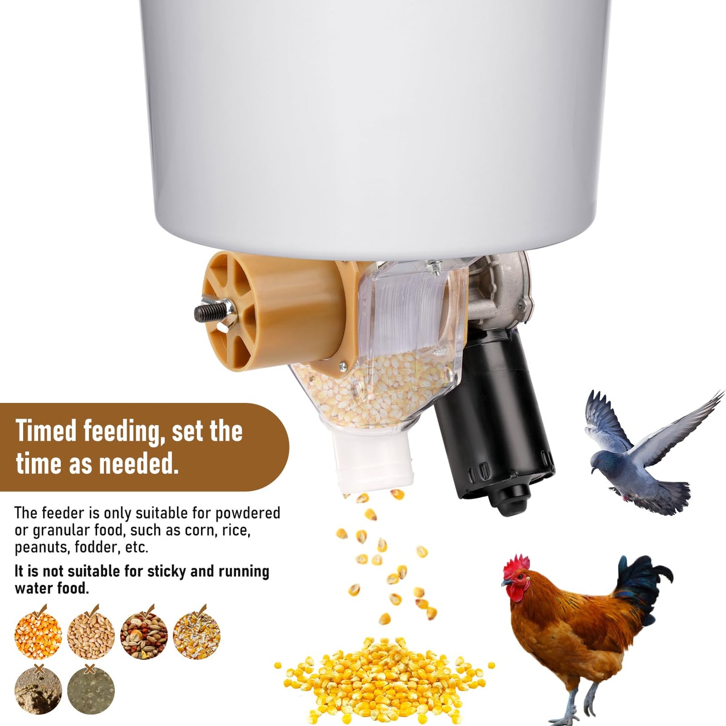 PKNYBZH Timed Automatic Chicken Feeder and Duck Feeder, Timed Poultry Feederer Great for Chickens, Ducks, Geese, Pigeons, Fish, Dogs, Fish, Cats