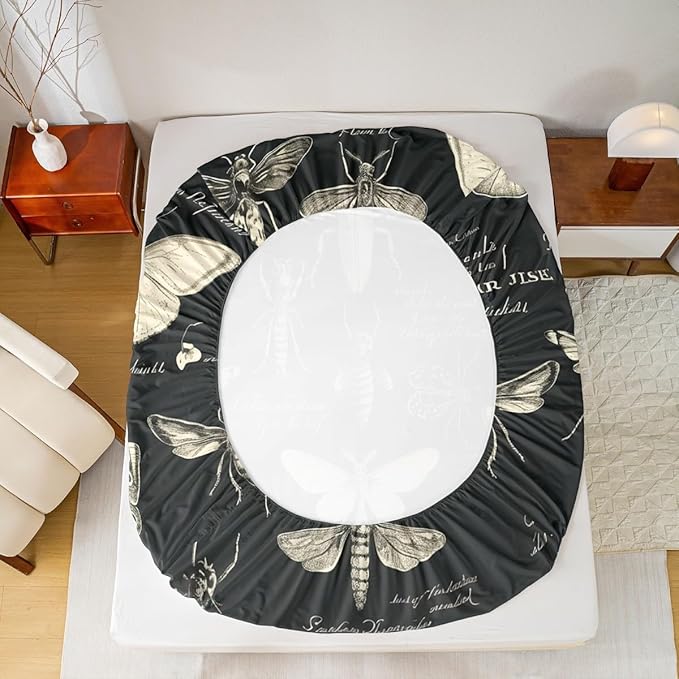 Butterfly Moth Insects Fitted Sheet Queen Size,Bug Beetles Entomological Bed Sheet for Kids Boys Teens Men Bedroom Decor,Nature Animal Bedding Set Retro Black Brown Deep Pocket Sheet,2 Pillowcases