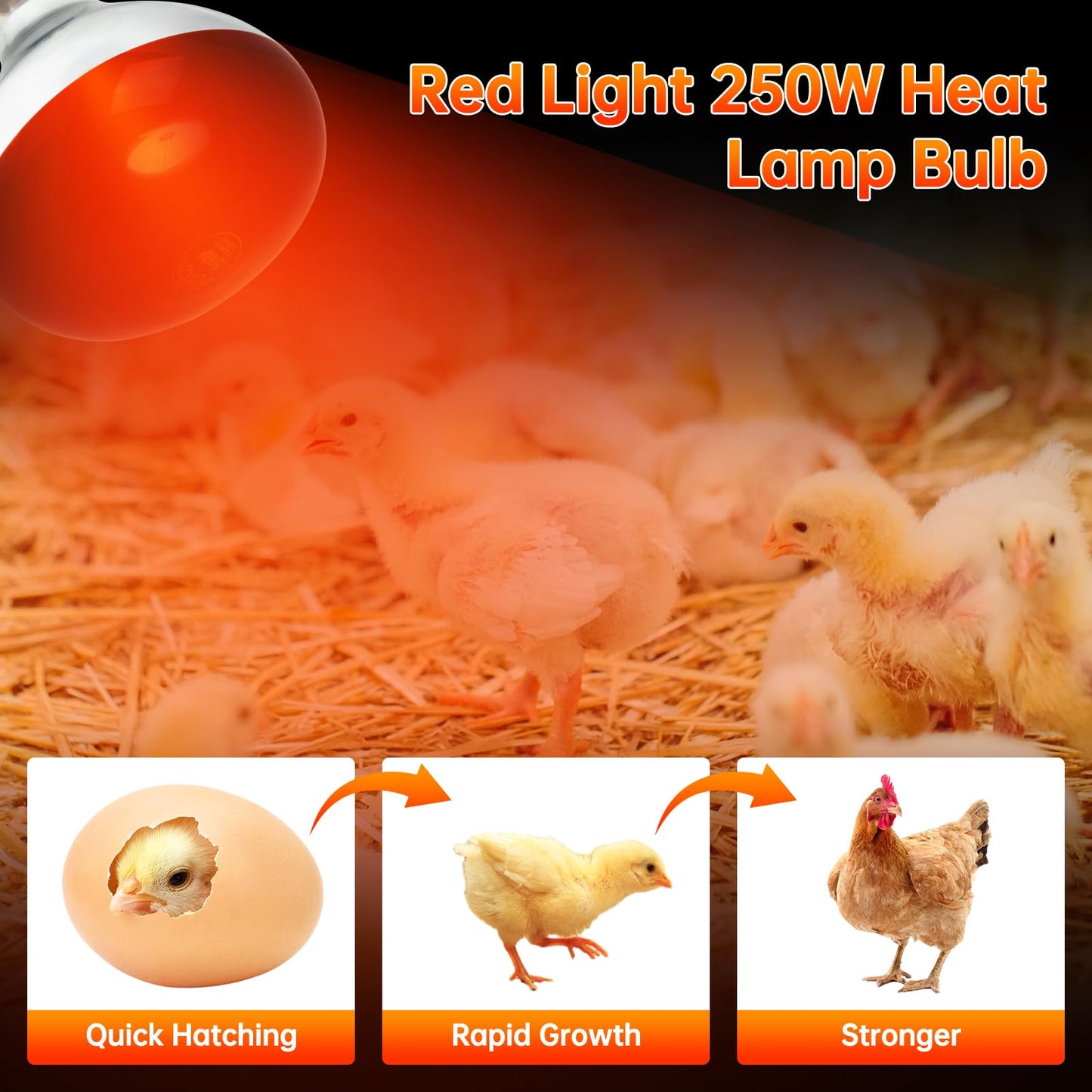 LUCKY HERP Heat Lamp for Chickens, 250 Watt Red Heat Lamp Bulbs, Infrared Heat Lamp for Chickens, Chicks, Reptile, Pets, Brooder Coop, Poultry (2 Pack)