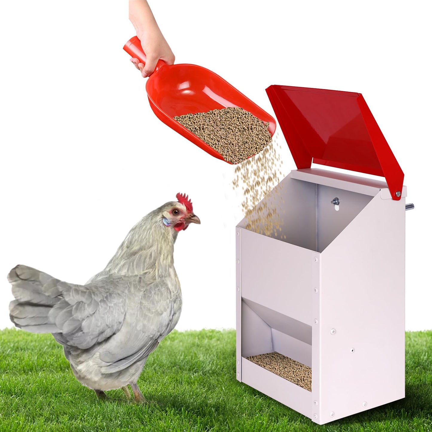 KHEARPSL Galvanized Wall Mount Chicken Feeder No Waste Hanging Chicken Feeder with Lid Weatherproof Metal Automatic Poultry Feeder Trough Food Dispenser for Outside Coop (10 lbs)