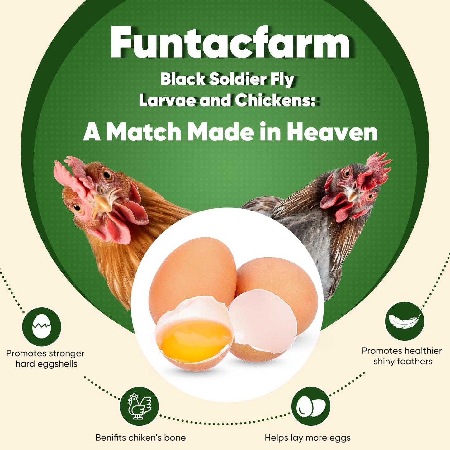 Funtacfarm Dried Worms Black Solider Fly Larvae 5LB, Superior to Mealworms Chicken Treat, 86x Calcium Than Meal Worms, 100% Non-GMO Organic Chicken Feed