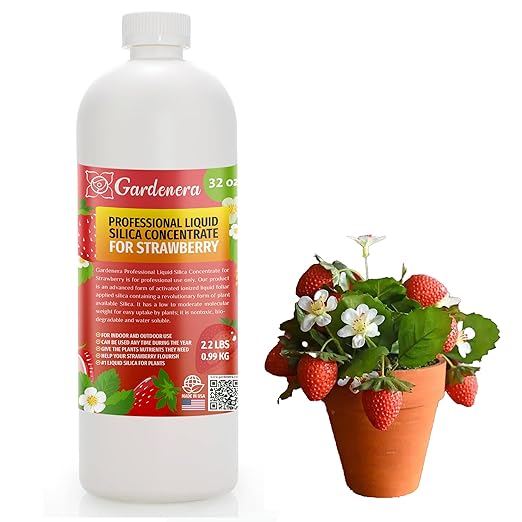 𝐏𝐑𝐎𝐅𝐄𝐒𝐒𝐈𝐎𝐍𝐀𝐋 Liquid Silica Plant Supplement - 32oz - Strawberry Plants Liquid Silica Boost Fertilizer - Stronger Stems & Healthy Leaves for Indoor & Outdoor Strawberry (Makes 180 Gallons)