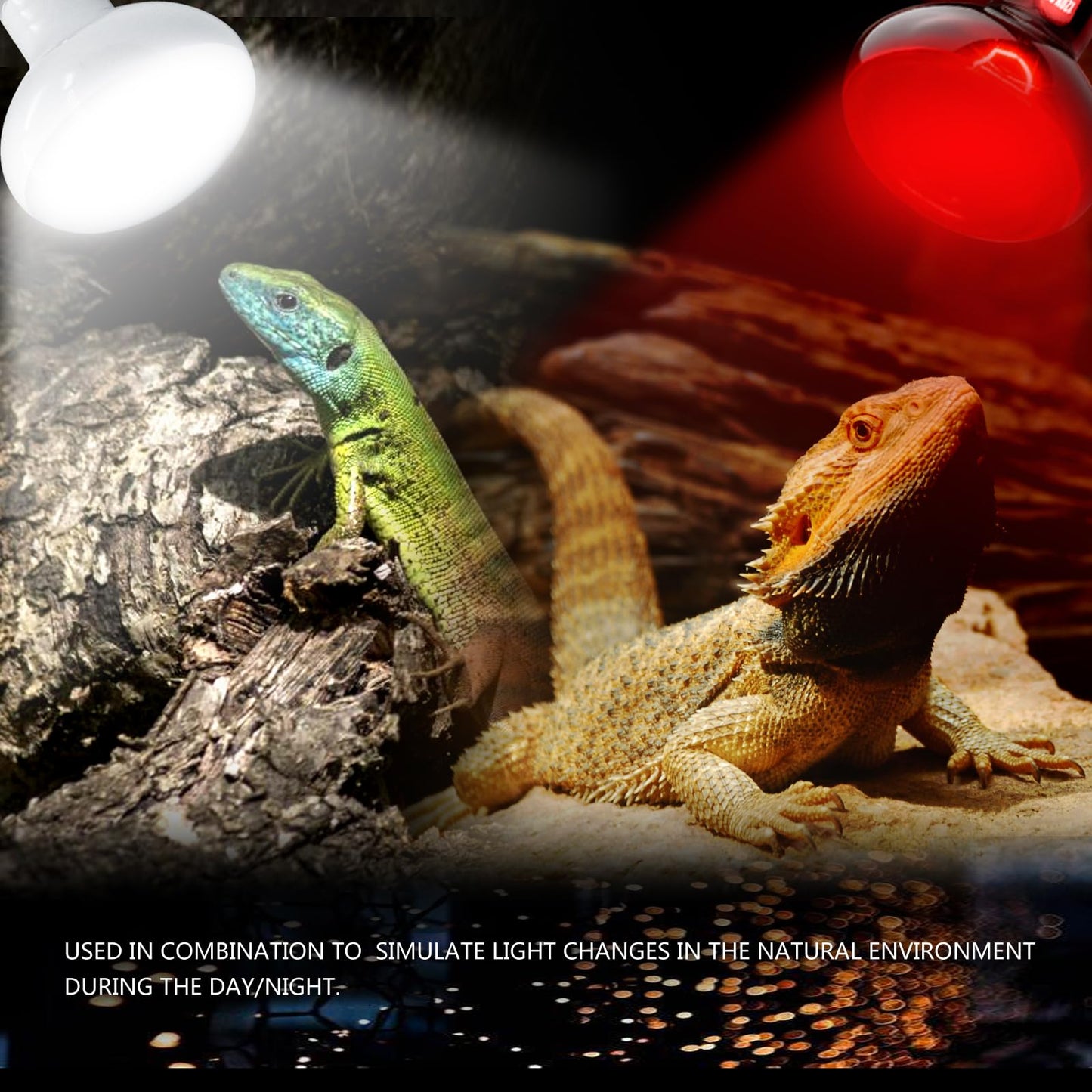 waazoorep Reptile Heat Lamp Bulbs 100W 2 Pack,Day and Night Infrared Basking Spot Heating Light Combo,UVA Heat Lamp Bulb for Reptile and Amphibians,Bearded Dragon, Lizard, Turtle