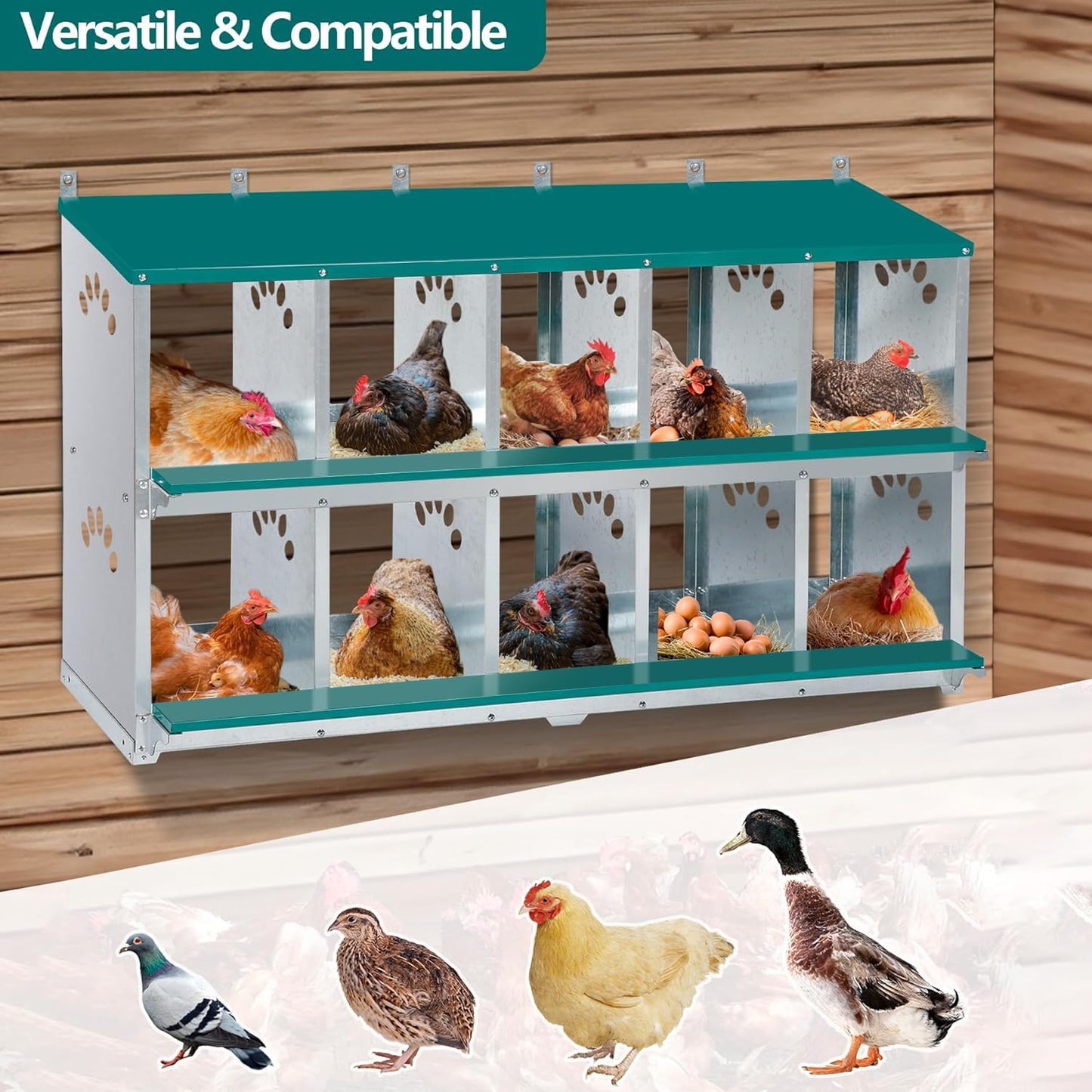 Toriexon Chicken Nesting Box, 10 Compartment Nesting Box, 10 Room Metal Nesting Boxes for Chicken, Green