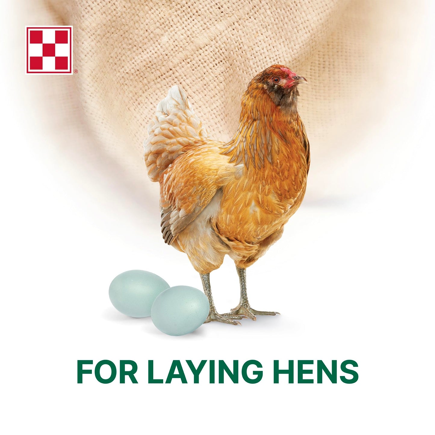 Purina Layena + High Protein Layer Chicken Feed (10 Pound)