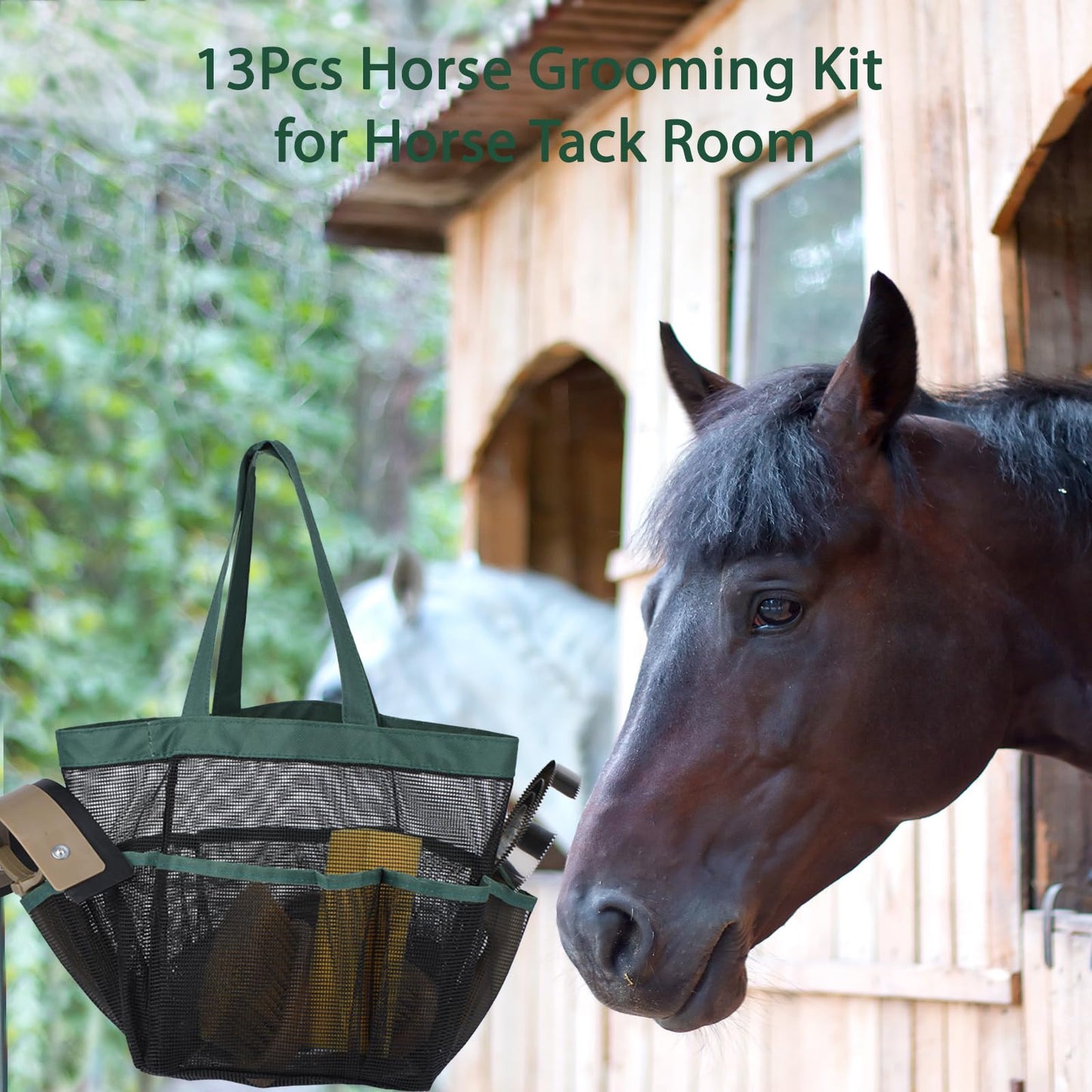 TERPUP Horse Grooming Kit 13 Piece, Horse Brushes for Grooming Supplies Set with Organizer Bag, Horse Brush & Curry Comb for Effective Cleaning, Gift for Horses Riders Beginners