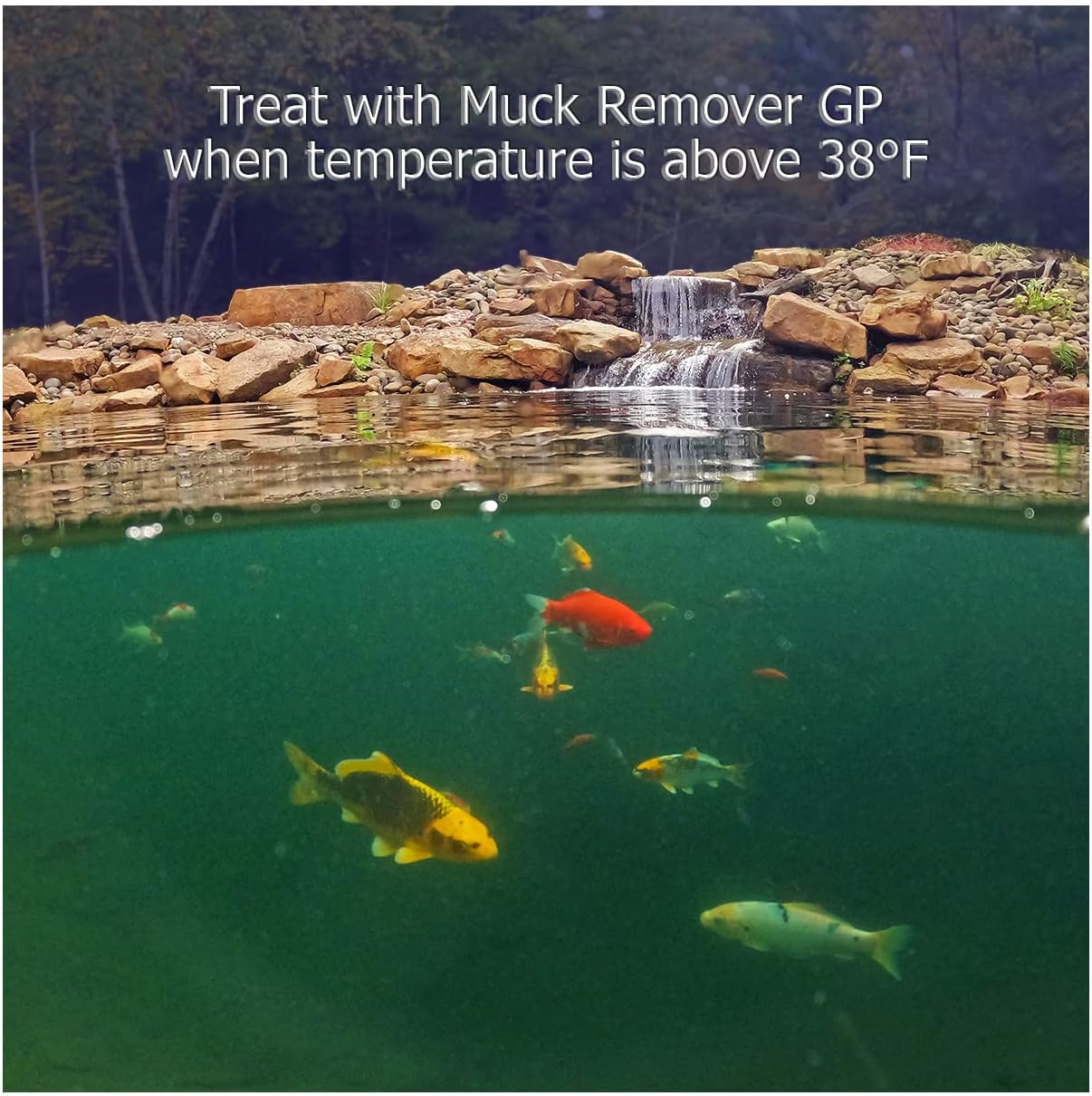 Muck Remover GP - 150 Pellets | Koi Pond Sludge Remover | Safe for Fish | Treats 5,000 Gallons up to 5 Months