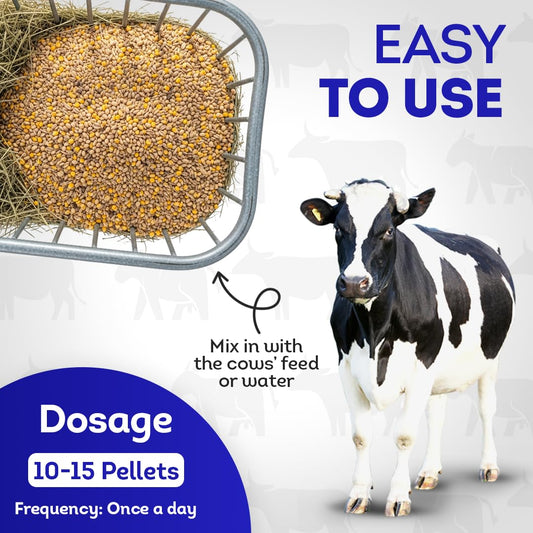 HA4E - Cow Milk Fever Support - Boosts Calcium & Energy Levels and Promotes Vitality & Alertness - All-Natural, Homeopathic Formula - 300+ Tablets