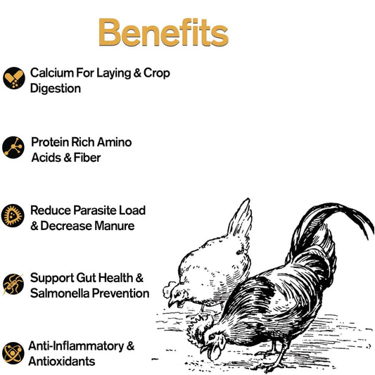 Fowl Treats Naturally Fortified Treats – Protein Rich Supplement Suitable for Chickens, Hens and Ducks, Hand Mixed with USA Grown Ingredients – Salo Tera Blend – 32oz