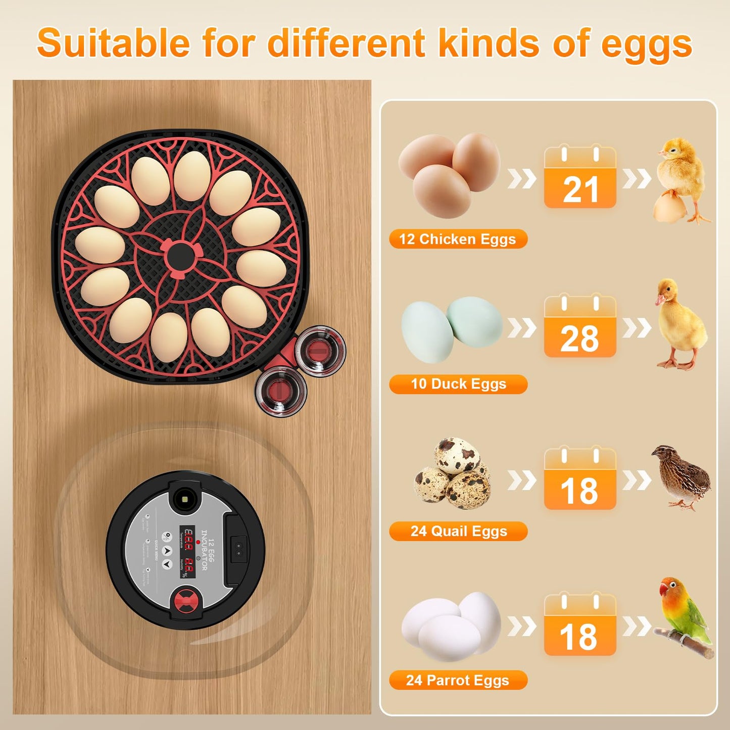 12 Egg Incubator with Automatic Egg Turning and Humidity Control, Intelligent Egg Incubator with Automatic Temp Egg Candler Air Vent, 360° Clear View, Hatching Chicken Duck Quail Bird