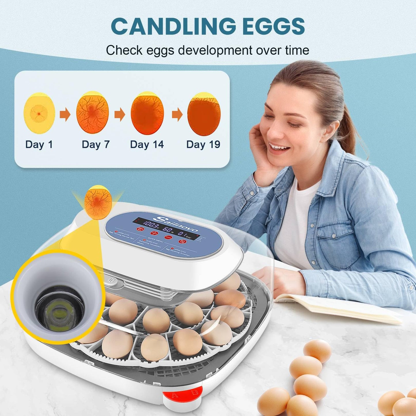 Sailnovo 24 Eggs Incubators for Chicken Eggs with 4 Modes, 360° View Incubator with Automatic Egg Turning and Temperature Control Humidity Display, Digital Incubator for Chicken Quail Duck(Blue)