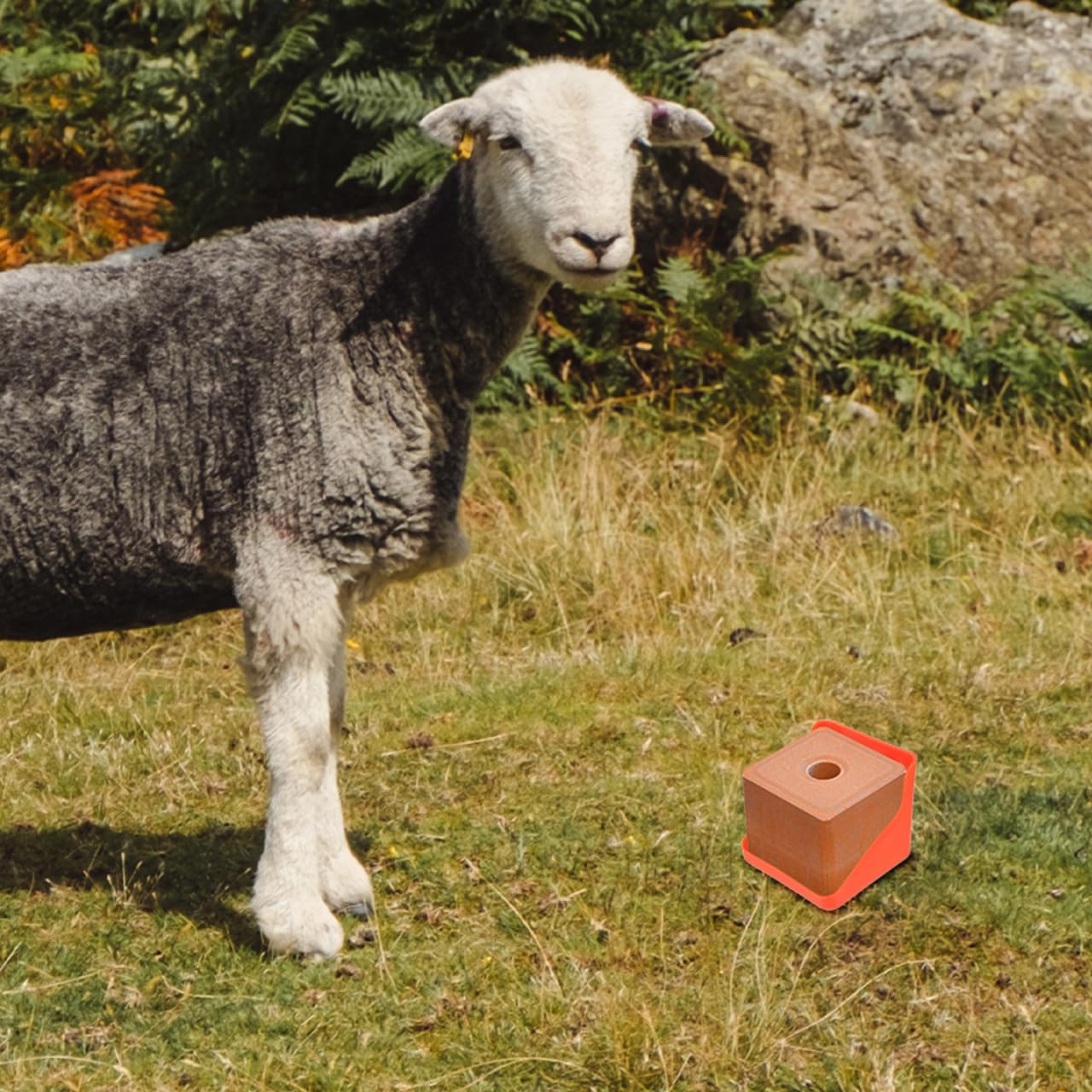 KESYOO Lick Brick Box Cow Tray Deer Salt Block Salt Goats Salt Block Feeder Holder Large Thicken Sheep Licking Livestock Cattle Salt Block Feeder Blocks Holders Mineral Coarse or
