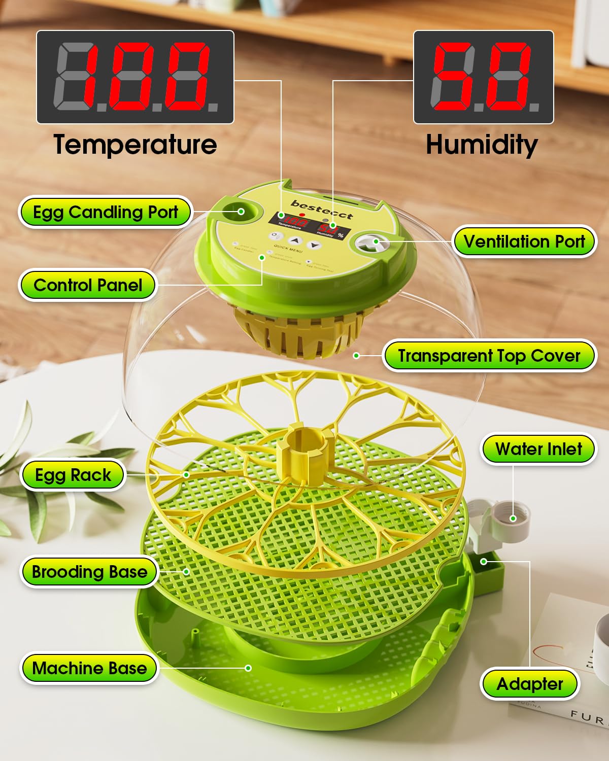 2025 Upgraded Incubators for Hatching Eggs,12 Egg Incubator with Automatic Turning and Humidity Control,Egg Candler,Air Vent,360° Viewing for Chicken,Quail Eggs,Ideal for Farm,Classroom,Home