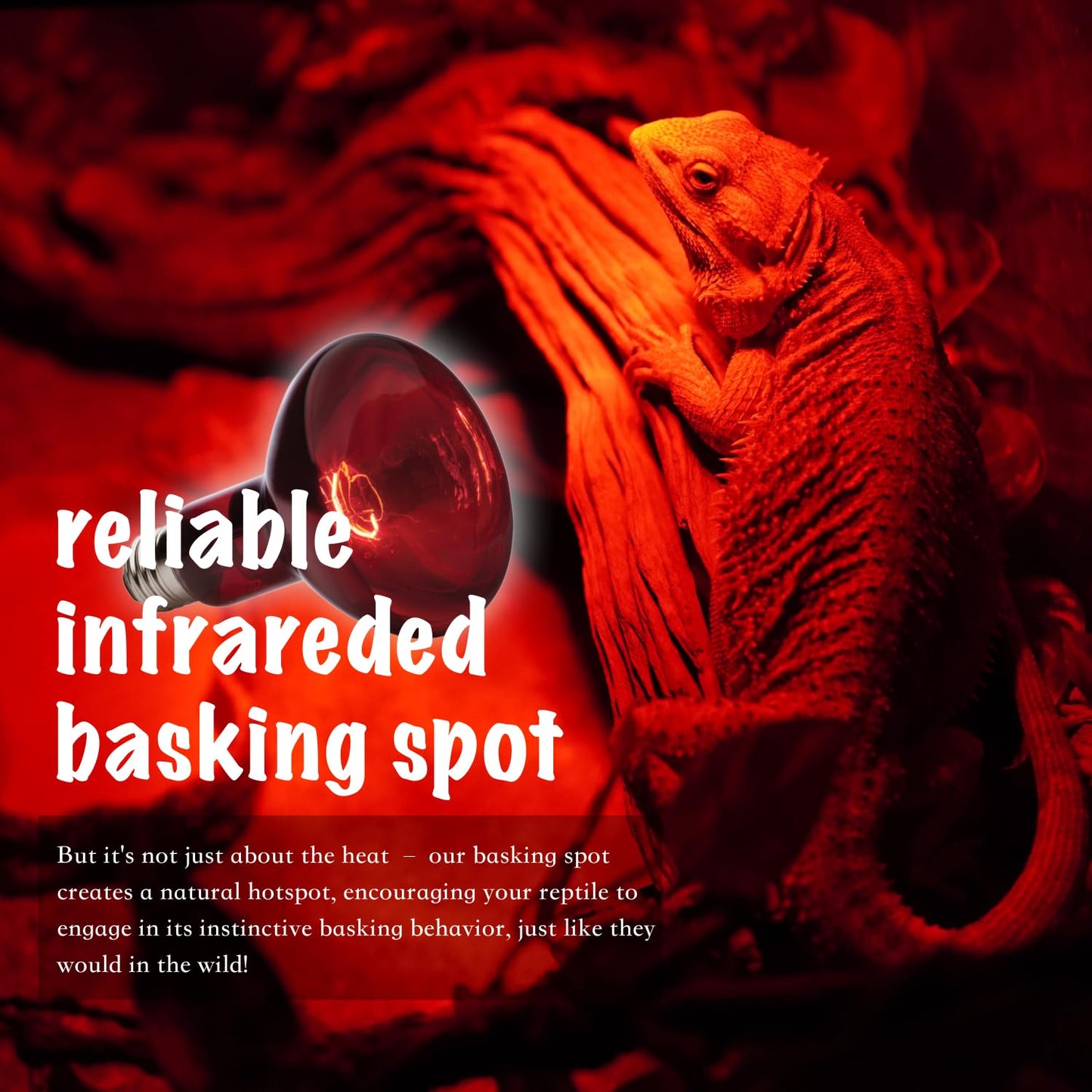 ReptiKing Reptile Red Heat Lamp, 2-Pack 75W Infrared Basking Bulbs Light for Reptiles, Night Red Basking Light for Bearded Dragon, Lizard, Gecko,Turtle Tank Accessories
