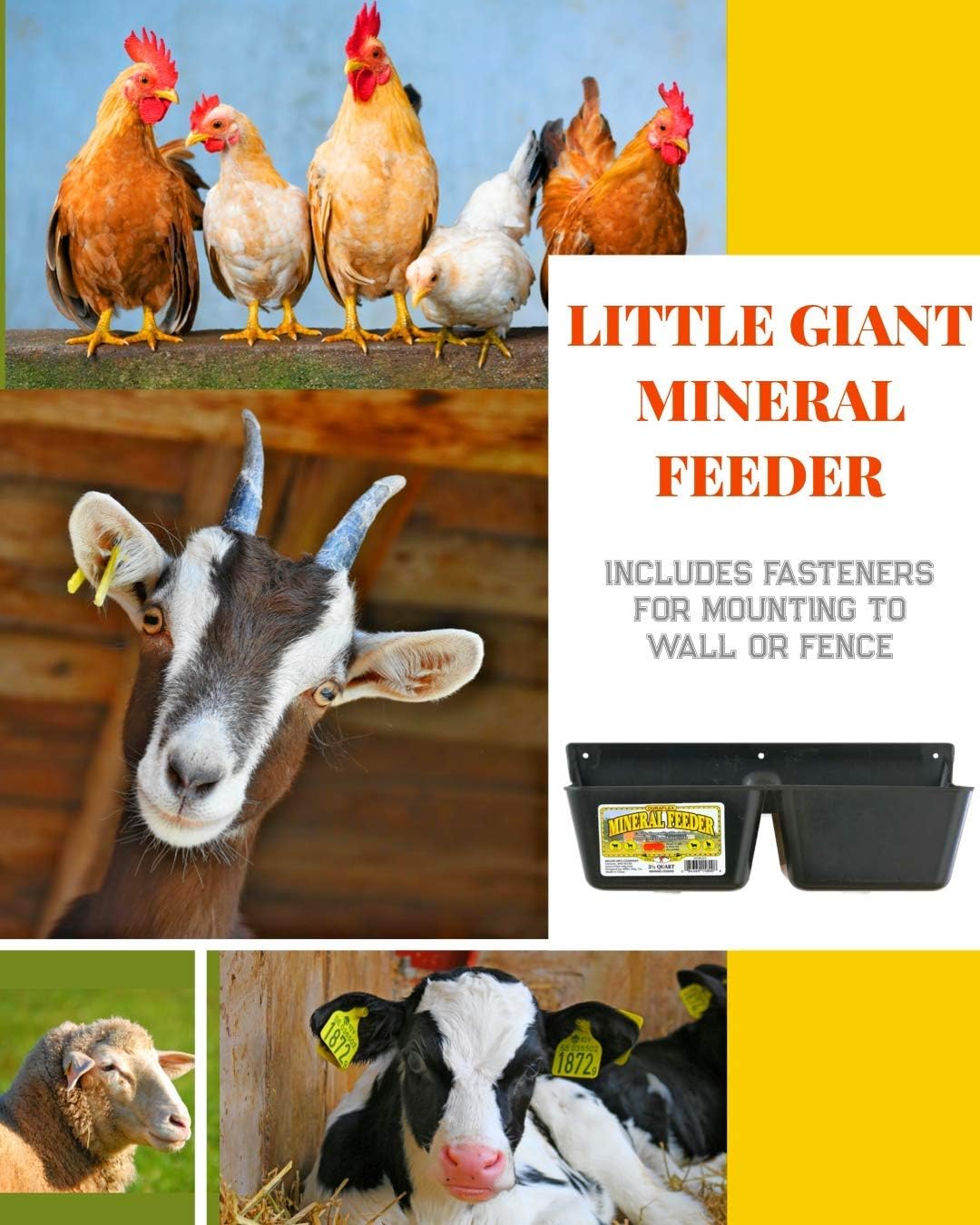 LBH Market Goat Mineral Feeder Kit Includes Mineral Feeder 3.5 Qt with 5 Wood Screw Fasteners Suitable for Goats and Horses