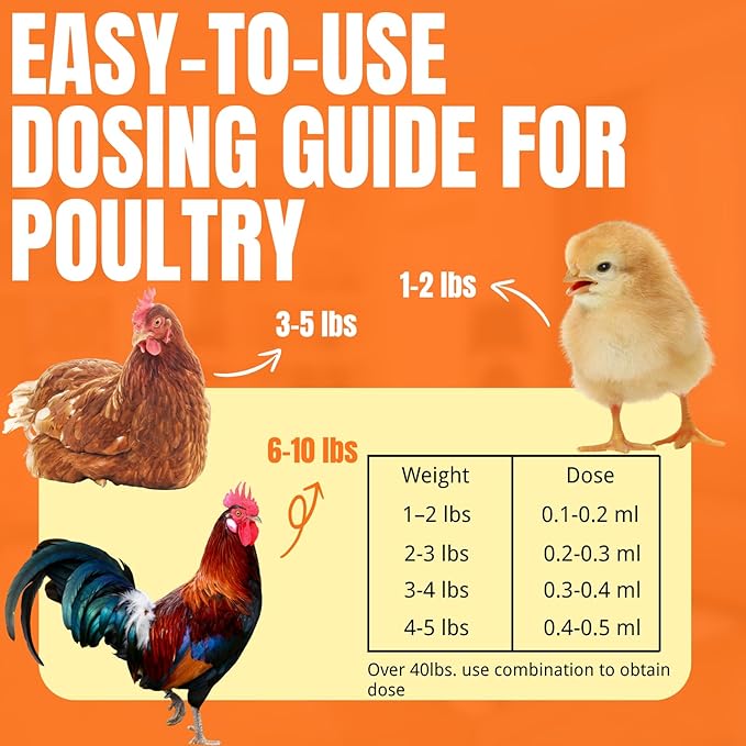 Chicken Dewormer, Hookworms, Lung Worms, Pin Worms, Round Worms