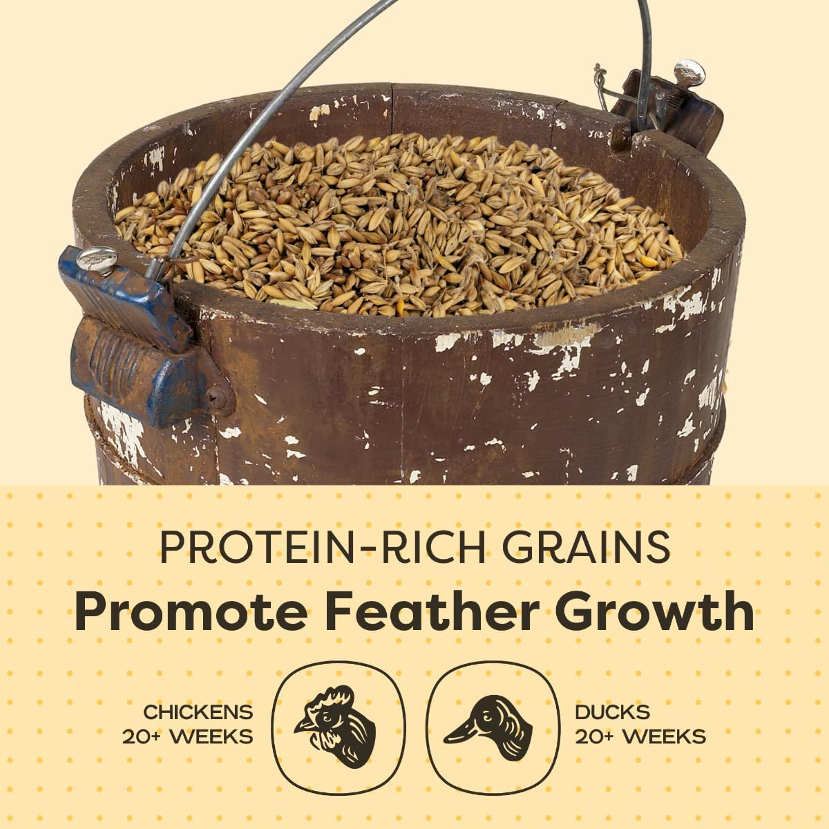 Scratch and Peck 3 Grain Scratch Chicken and Duck Supplemental Grain - 10 lbs Bag - Corn-Free and Soy-Free - 9.8% Protein, Certified Organic and Non-GMO Project Verified Chicken Food
