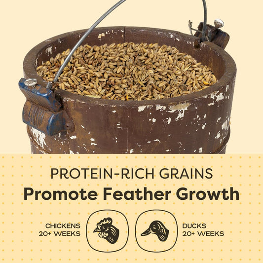 Scratch and Peck 3 Grain Scratch Chicken and Duck Supplemental Grain - 10 lbs Bag - Corn-Free and Soy-Free - 9.8% Protein, Certified Organic and Non-GMO Project Verified Chicken Food
