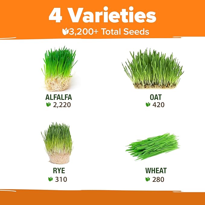HOME GROWN Cat Grass Seed Mix – Non-GMO Oat, Alfalfa, Rye & Wheat Seeds for Cats | Indoor Pet Grass with Fast Germination | Digestive Aid, Hairball Relief & Safe Chew Alternative
