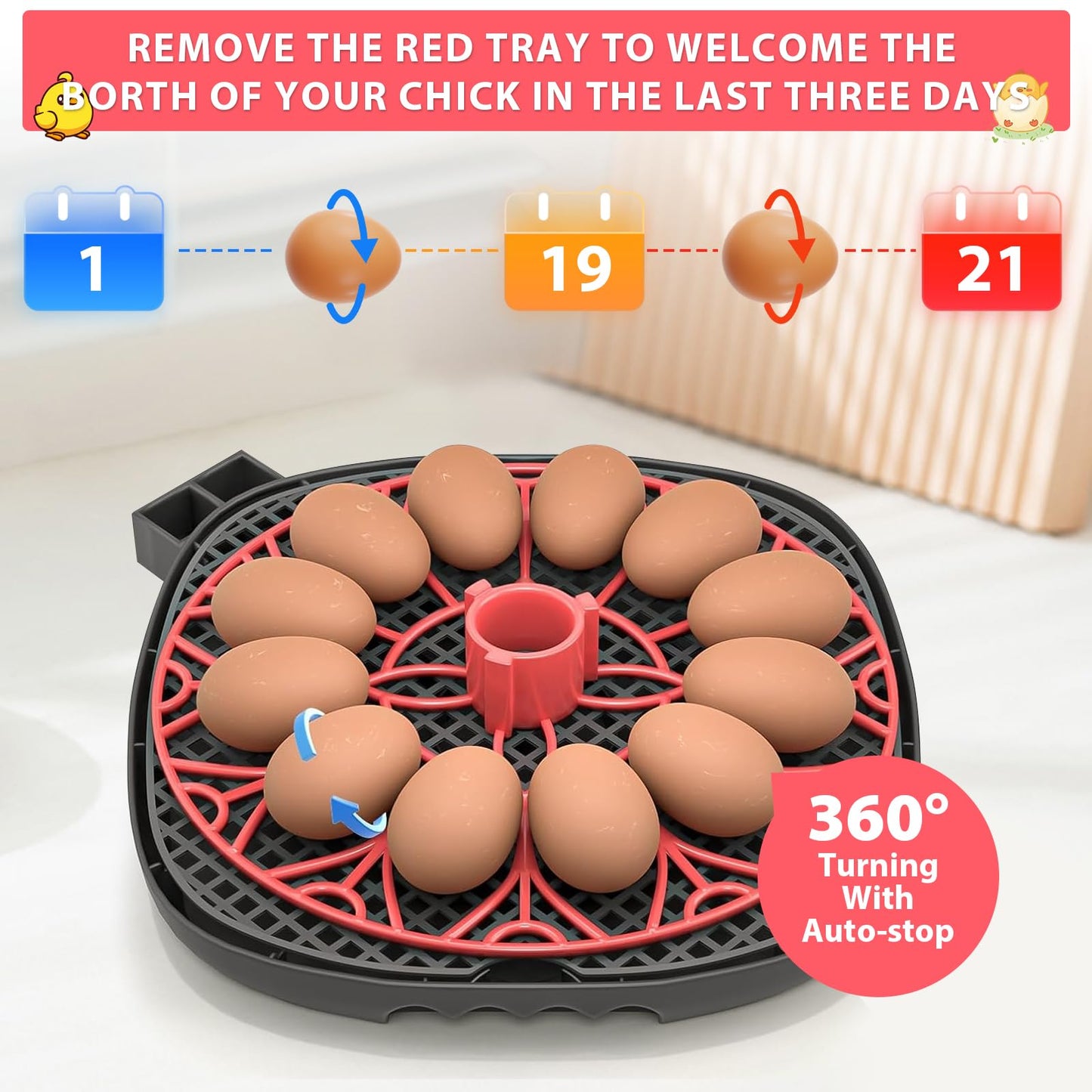 Florienix 12 Egg Incubator Automatic Egg Turning, Temperature & Humidity Control with Digital Display, Built-in Egg Candler & Auto Water Refill for Chicken Duck Quail Eggs