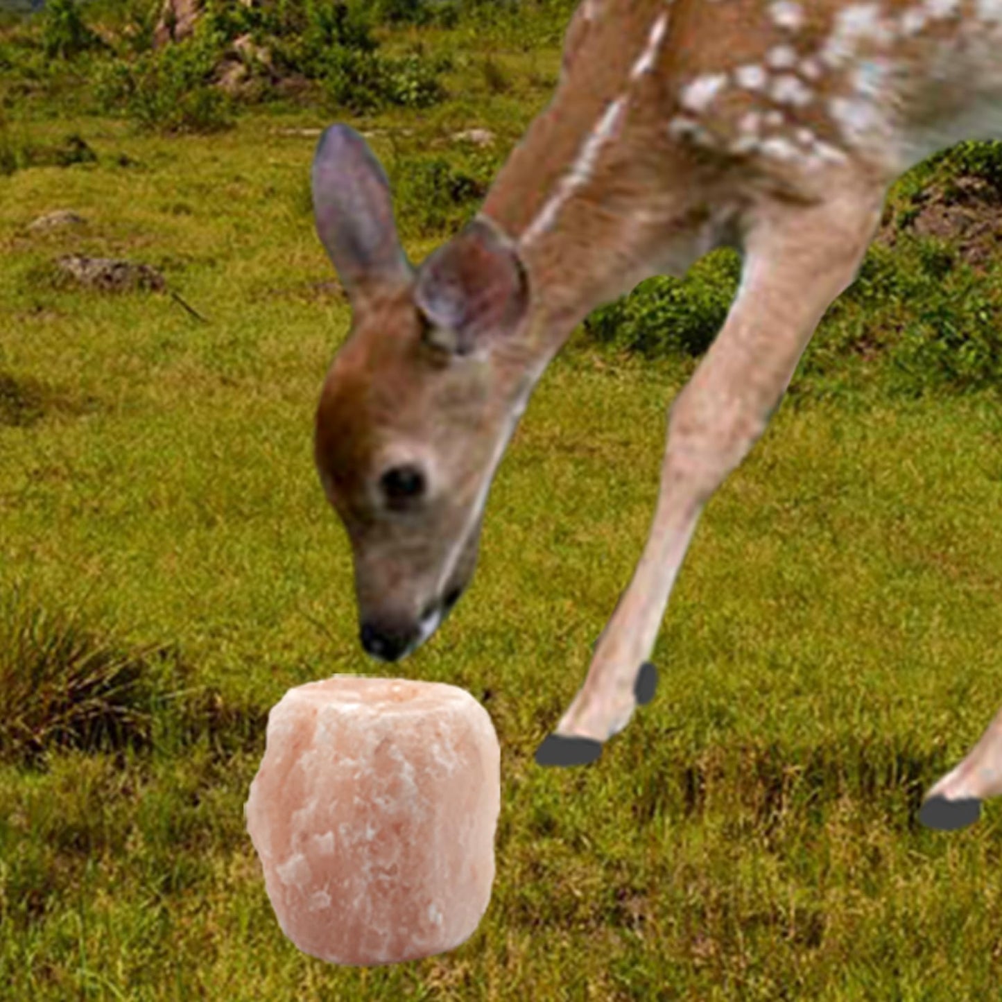 MUYG 2 Pack Himalayan Salt Lick Natural Minerals Block on Rope for Horses,Cattles,Deer,Goat and Other Livestock Long Lasting Original Pink Salt Lick (4.8-6.6 lbs)