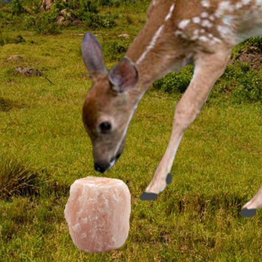MUYG 2 Pack Himalayan Salt Lick Natural Minerals Block on Rope for Horses,Cattles,Deer,Goat and Other Livestock Long Lasting Original Pink Salt Lick (4.8-6.6 lbs)