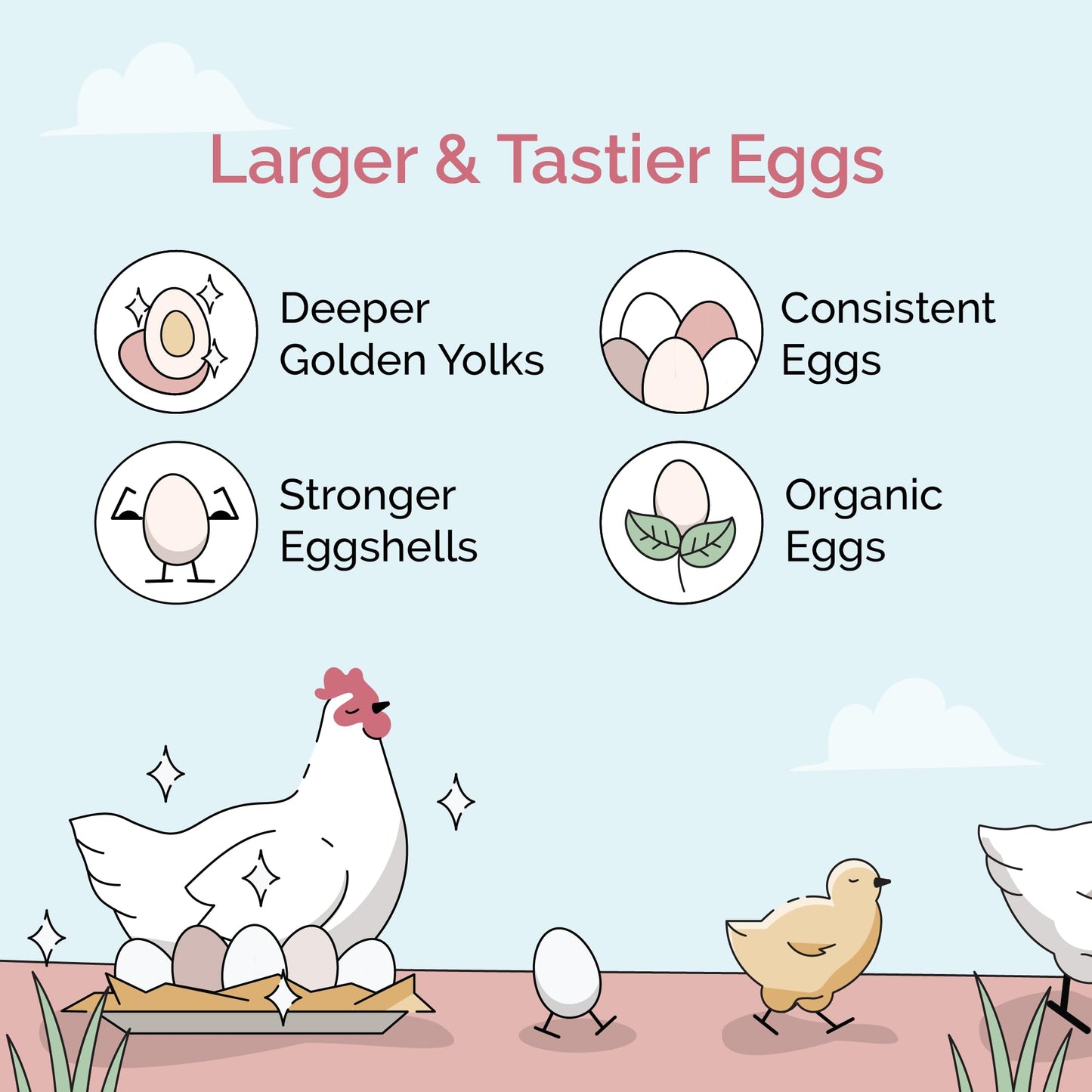 Mile Four Organic Chicken Feed – Layer Whole Grain, Non-GMO, USA Grown, 16% Protein, Corn-Free, Soy-Free, Non-Medicated Feed for Chickens, 2 lb Sample