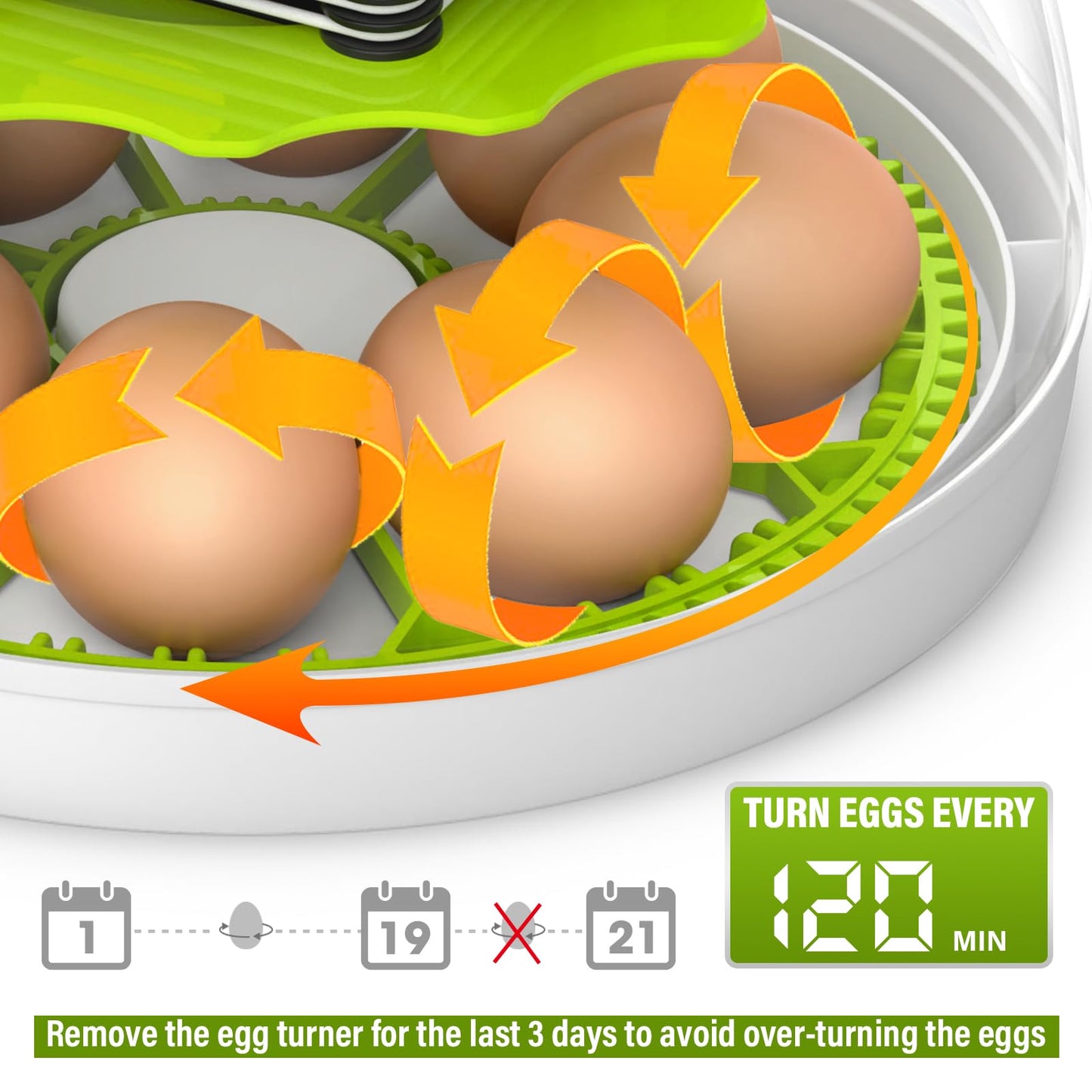 Egg Incubator with Automatic Egg Turning and Humidity Control, Chicken Incubators for Hatching Eggs, Built-in Egg Candle, Holds 8 Eggs, Suitable for Hatching Chickens, Quails, Ducks, Parrots, Geese
