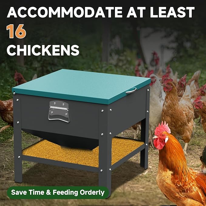 Automatic Chicken and Duck Feeder, 80 LBS Capacity Metal Chicken Feeder, Weatherproof Outdoor Gravity Feeding Barrel, No-Waste Feeder for Backyard Flock (Green)