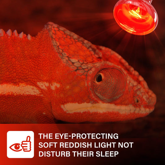 TobeBright Red Reptile Heat Bulb,100W Infrared Heat Lamp Bulbs for Chickens,Red Basking Spotlight Reptile Night Heat Bulb, Dimmable Reptile Light Bulb for Lizard Bearded Dragon Leopard Gecko-2Pack