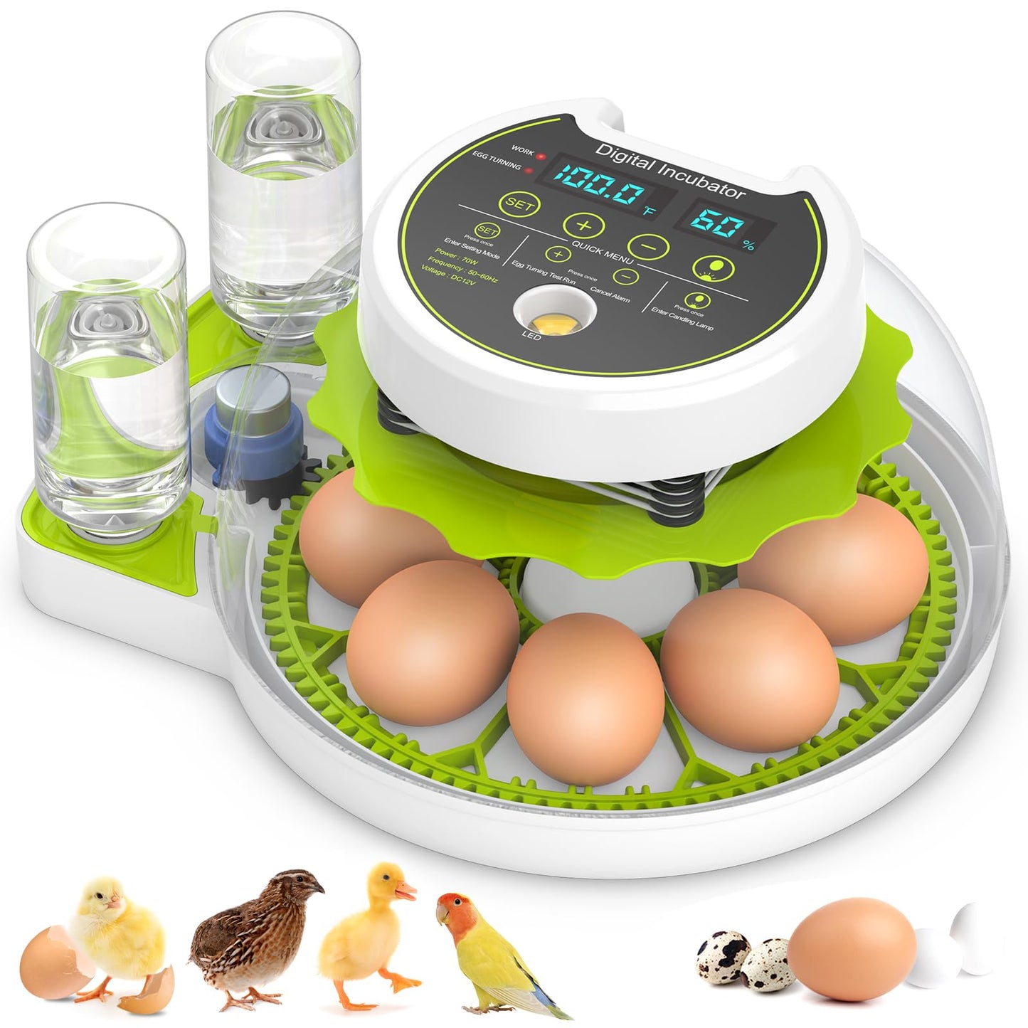 Egg Incubator with Automatic Egg Turning and Humidity Control, Chicken Incubators for Hatching Eggs, Built-in Egg Candle, Holds 8 Eggs, Suitable for Hatching Chickens, Quails, Ducks, Parrots, Geese
