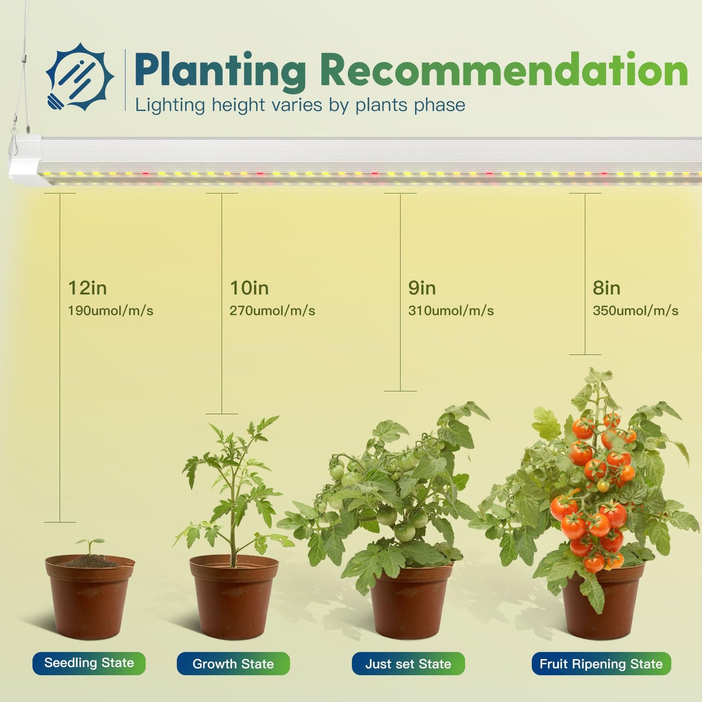 FREELICHT 8 Pack 4ft LED Grow Light with Timer, 60W+40W (4 Pack), Sunlike Full Spectrum Integrated Plant Light for Hydroponic Indoor Plant Seedling Veg and Flower, Plug in with 3 Timing Modes