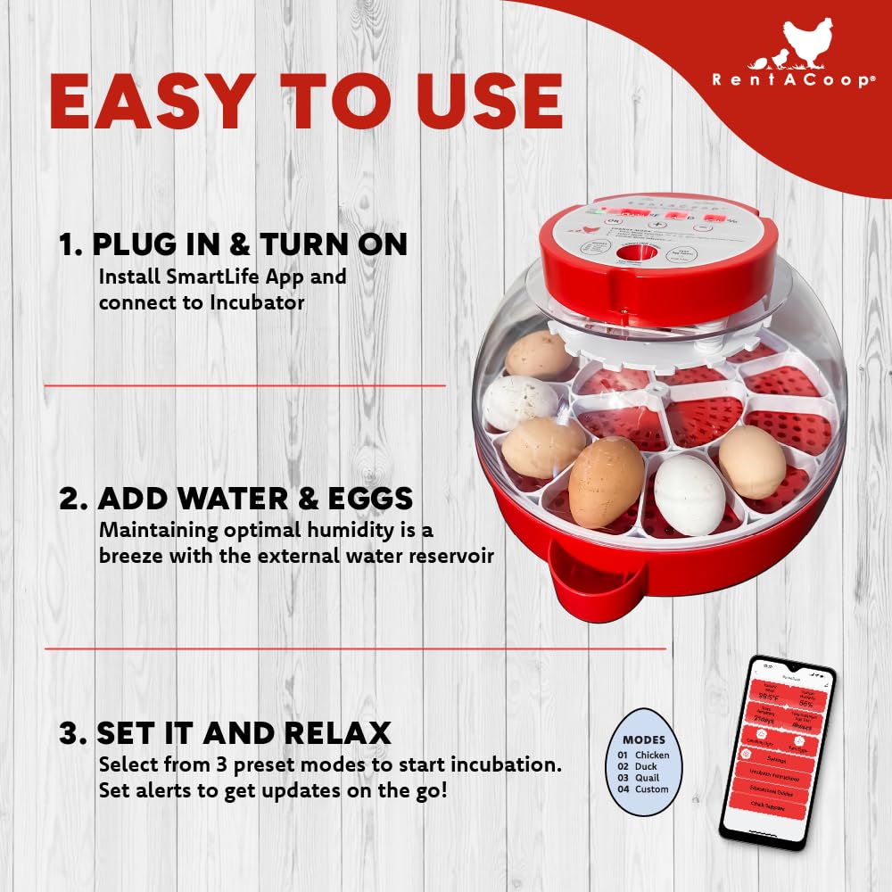 RentACoop 16-Egg Smart Incubator – App Controlled, Auto-Turn, Built in Candeling Light Perfect for Chickens, Ducks, and Quail!