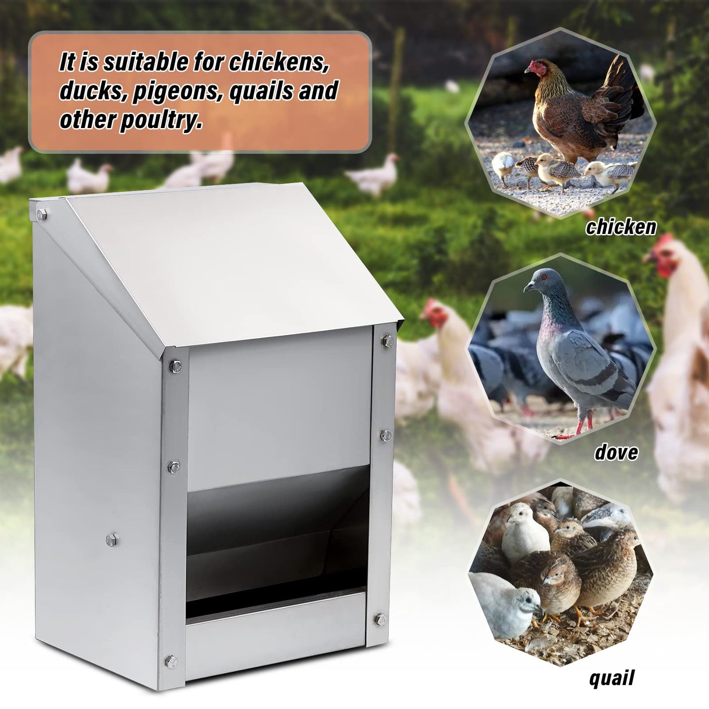 KHEARPSL Stainless Steel Wall Mounted Chicken Feeder Hanging Automatic Poultry Feeder with Lid Weatherproof Metal Poultry Feeders Trough(10LB Capacity)