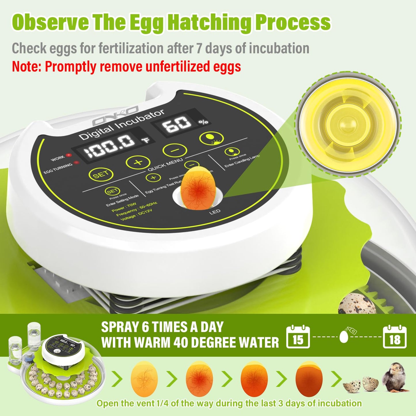 Quail Egg Incubator for Hatching Eggs with Automatic Egg Turning and Humidity Control 40 Eggs Large Capacity Quail Brooder Poultry Incubators, Also for Parrot, Dove, Canary and Other Birds
