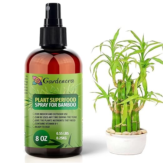 𝐁𝐄𝐒𝐓𝐒𝐄𝐋𝐋𝐄𝐑 Plant Superfood for Bamboo Plants with B1 Vitamin, Glucose and Essential Minerals - Organic Plant Food Fertilizer for Indoor & Outdoor Bamboo Plant Care - 8oz