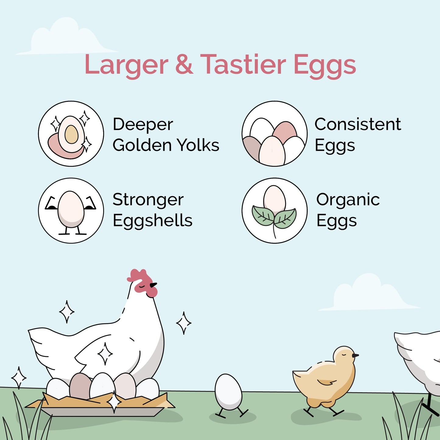 Mile Four Organic Chicken Feed – Grower Whole Grain, Non-GMO, USA Grown, 18% Protein, Corn-Free, Soy-Free, Non-Medicated Feed for Chickens, 2 lb Sample