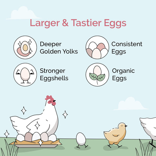 Mile Four Organic Chicken Feed – Grower Mash, Non-GMO, USA Grown, 18% Protein, Corn-Free, Soy-Free, Non-Medicated Feed for Chickens, 2 lb Sample
