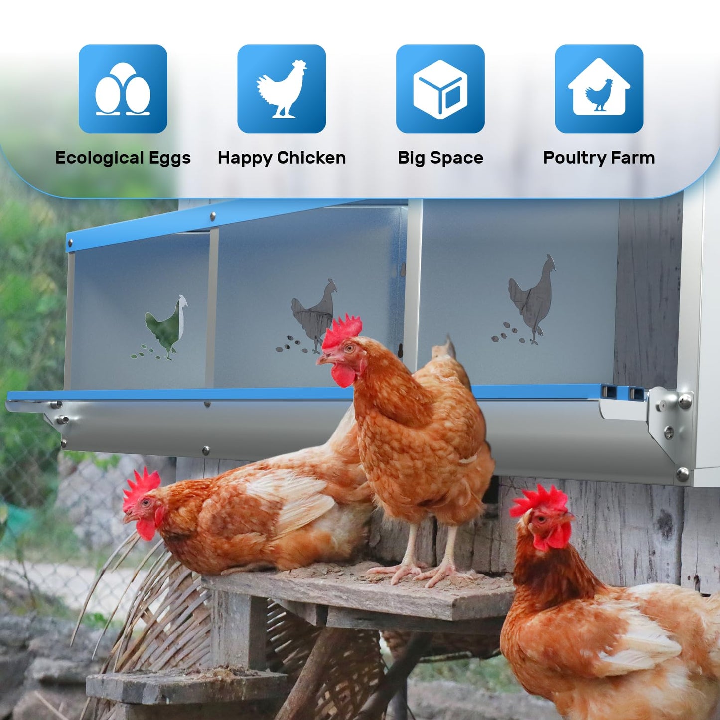 Kinchoix Chicken Nesting Box for Laying Eggs 3 Holes Metal Nest Box for Chicken Hens Ducks Poultry Protect Eggs Chicken Coop Easy Egg Collection Wall Mount Nest Box for Chicken Coop