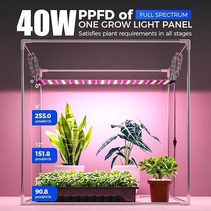 Barrina Indoor Greenhouse with Grow Light, with 40W Seed Starting LED Indoor Plant Light, Portable Mini Greenhouse with Timer for Seed Starter Tray, Seedling, Sprouting, Microgreens, 23x23x23IN
