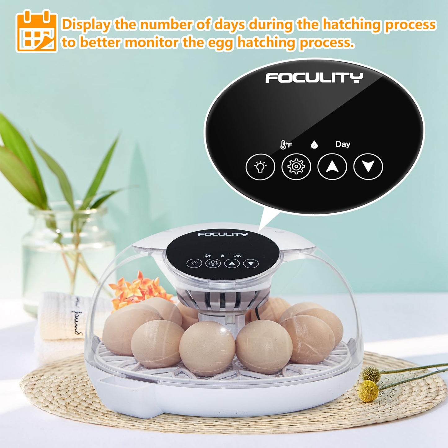 FOCULITY Egg Incubators for Hatching Eggs with Smart Automatic Turning Small Poultry Duck Quail 12 Eggs Chicken Incubator Temperature Days Control Humidity Display Candler Hatcher Machine, Fahrenheit